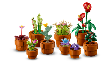 Mini Pflanzen