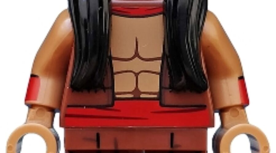 Apache Chief, The LEGO Batman Movie, Series 2 (Minifigure Only without Stand and Accessories)